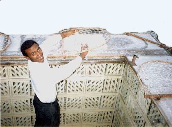 ASHRAF.jpg (23138 bytes)